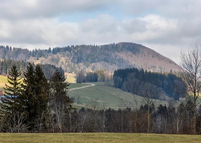 Bamberger Gipfelblick