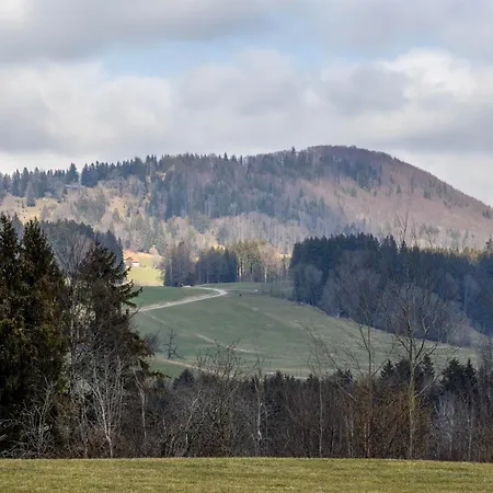 Bamberger Gipfelblick *